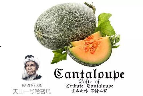 娱乐吃瓜配乐推荐,盘点热门配乐推荐