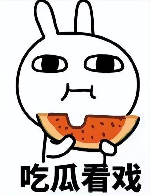 娱乐吃小瓜,吃小瓜背后的故事与真相